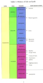 Janani: Understanding Prakriti (Volume 1) - Image 3