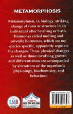 Metamorphosis - Image 2