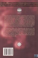 Swadhisthana Chakra - Image 4