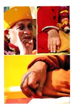 Satyam Speaks: Mudra - Image 4