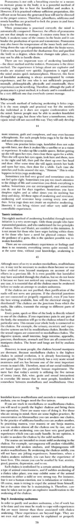 Kundalini Tantra (Original From Bihar School) - Image 2