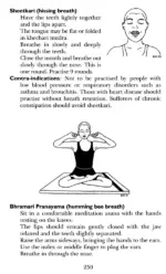 The Practices of Yoga For the Digestive System - Image 4