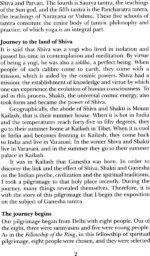 Ganapati Aradhana - Image 2