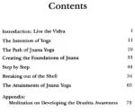 Yoga Chakra 3: The Seven Foundations of Jnana Yoga - Image 2