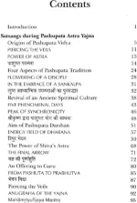 Pashupata Astra Yajna - Image 2