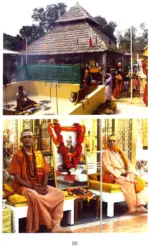 Pashupata Astra Yajna - Image 4