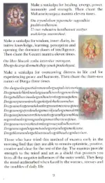 Hatha Yoga for Everyone: Overview and Practice Capsules - Image 3