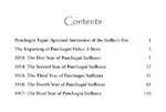 Panchagni Tapas: Spiritual Succession of the Sadhu's Fire - Image 3