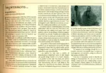 Satyananda Yoga in Italy (1980–2009) - Image 3