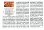 Satyananda Yoga in Italy (1980–2009) - Image 4