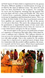 Daan: Path to Positivity and Purity - Image 3