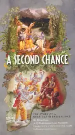A Second Chance: The Story of Near Death Experience
