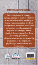 Metamorphosis Pocket Edition - Image 2