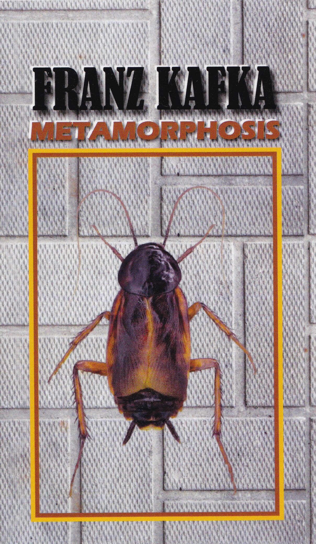 IMG_20260926_0001 The Metamorphosis - Image 1