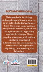 The Metamorphosis - Image 2