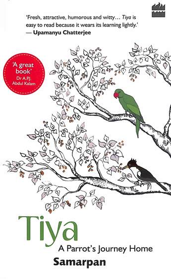 Tiya: A Parrot's Journey Home