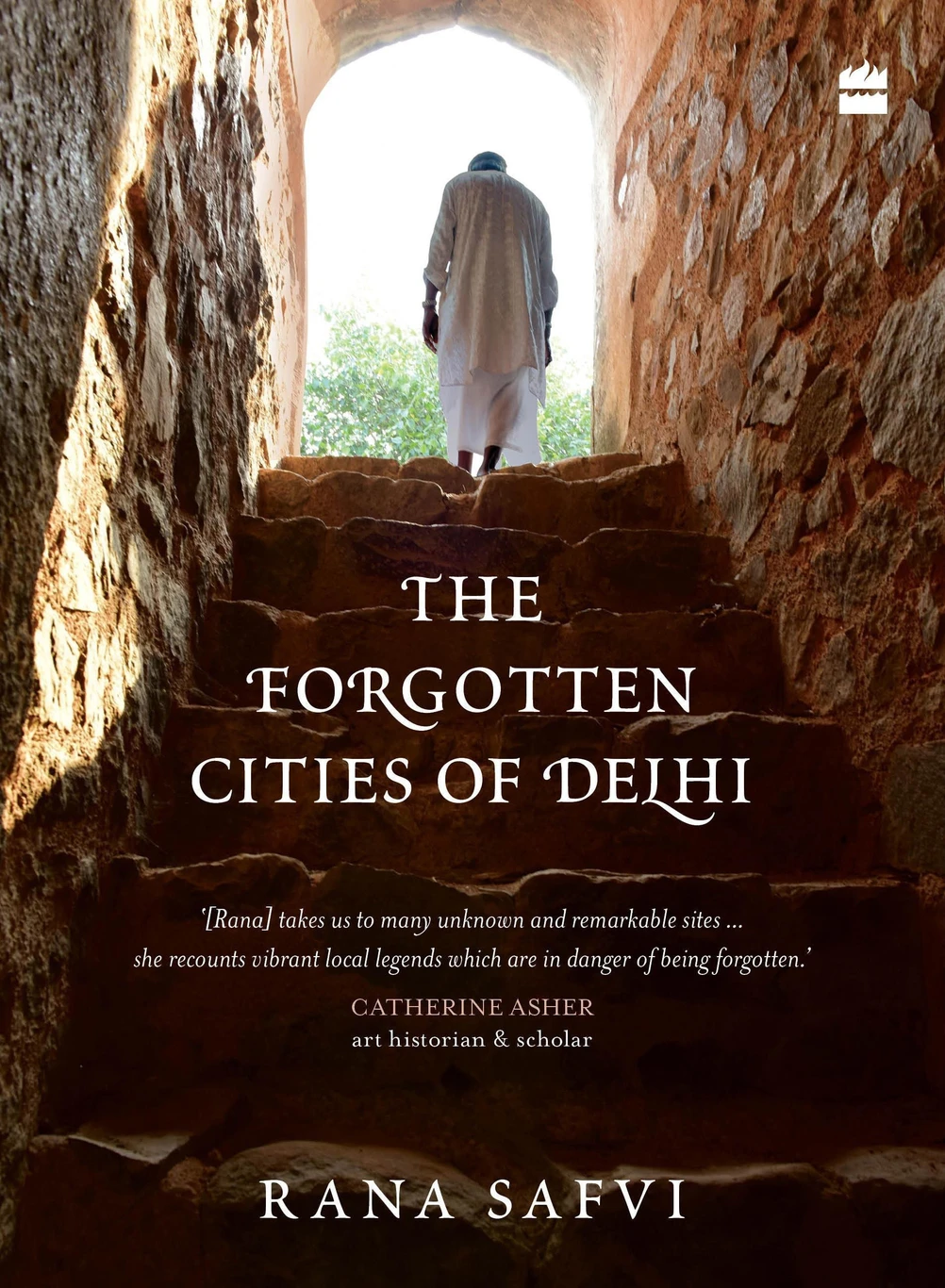 the-forgotten-cities-of-delhi-book-two-in-the-where-stones-speak-original-imafyfeuk3udyz2h The Forgotten Cities of Delhi - Image 1